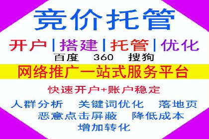百度推广在电商行业的应用案例